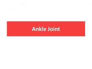 Ankle joint anatomy
