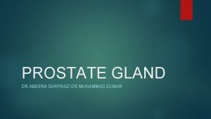 PROSTATE GLAND DR ABEERA SARFRAZ DR MUHAMMAD ZUBAIR