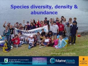 Species diversity density abundance Photograph Indigo Pacific Karakia