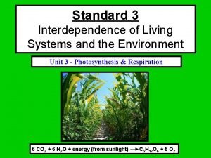 Standard 3 Interdependence of Living Systems and the