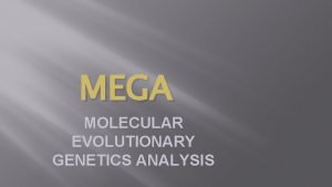Mega molecular evolutionary genetics analysis