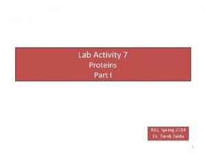 Lab Activity 7 Proteins Part I IUG Spring