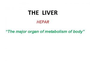 Organ hepar