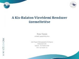 A KisBalaton Vzvdemi Rendszer zemeltetse Busa Tams mszaki