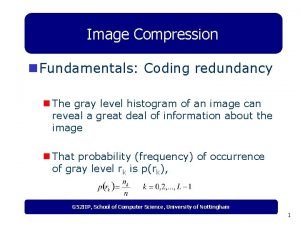 Coding redundancy in image processing