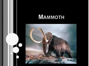 Mammoth habitat description