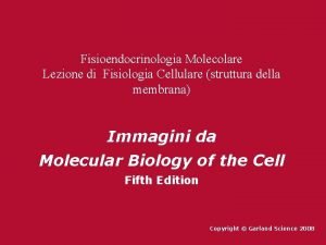 Fisioendocrinologia Molecolare Lezione di Fisiologia Cellulare struttura della