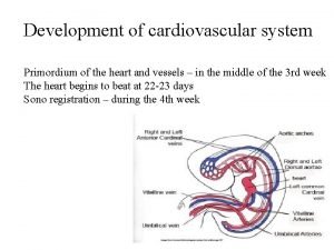 Coarctation of aorta preductal vs postductal