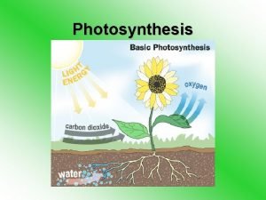 Photosynthesis Photosynthesis Photosynthesis is the way that plants