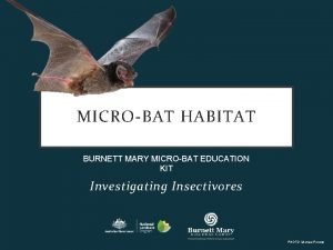 Microbat habitat