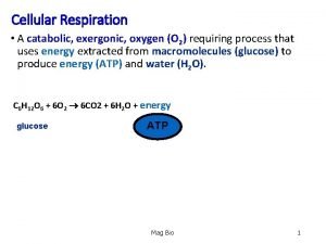 Cellular Respiration A catabolic exergonic oxygen O 2