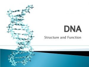 Who discovered the structure of dna