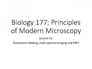 Biology 177 Principles of Modern Microscopy Lecture 12