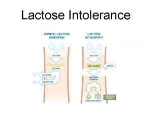 Causes of lactose intolerance