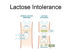 Lactose