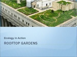Ecology in Action ROOFTOP GARDENS WHY A ROOFTOP