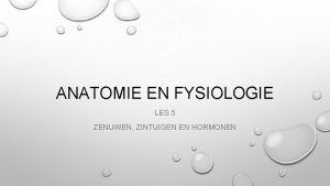 ANATOMIE EN FYSIOLOGIE LES 5 ZENUWEN ZINTUIGEN EN