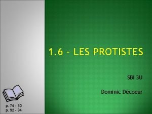 1 6 LES PROTISTES SBI 3 U Dominic