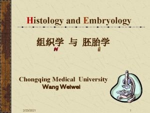 Histology and Embryology Chongqing Medical University Wang Weiwei