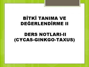 BTK TANIMA VE DEERLENDRME II DERS NOTLARIII CYCASGINKGOTAXUS