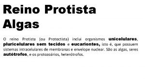 Classificação das algas Classificação das algas