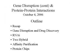 Gene Disruption cont ProteinProtein Interactions October 4 2006