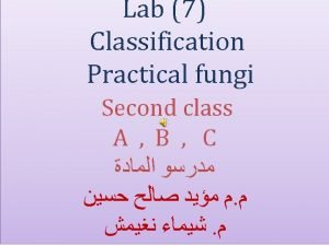 Webster and weber classification of fungi Webster and weber classification of fungi