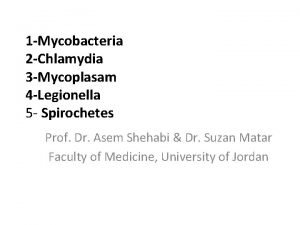 1 Mycobacteria 2 Chlamydia 3 Mycoplasam 4 Legionella