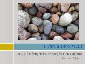 LIVING STONES FUND You also like living stones