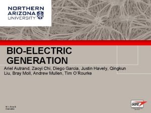 BIOELECTRIC GENERATION Ariel Autrand Zaoyi Chi Diego Garcia