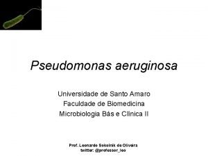 Pseudomonas aeruginosa Universidade de Santo Amaro Faculdade de