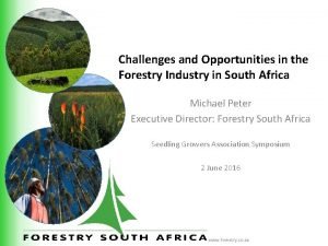 Challenges and Opportunities in the Forestry Industry in