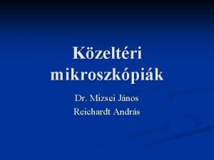 Kzeltri mikroszkpik Dr Mizsei Jnos Reichardt Andrs Bevezets