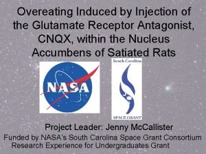 Overeating Induced by Injection of the Glutamate Receptor