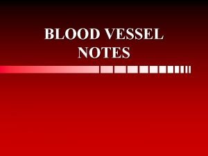 BLOOD VESSEL NOTES VASCULAR SYSTEM Take blood to
