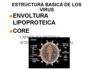 Envoltura lipoproteica