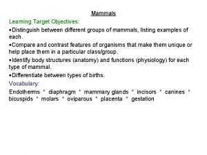 Mammals Learning Target Objectives Distinguish between different groups