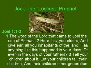 Joel The Loscust Prophet Joel 1 1 3