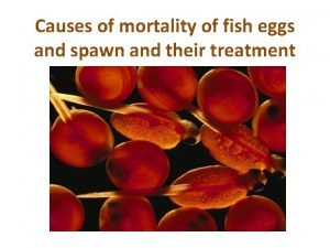 Causes of mortality of fish eggs and spawn