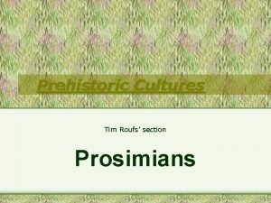 Prehistoric Cultures Tim Roufs section Prosimians http www