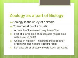 What is zoology