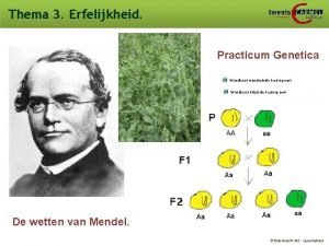 Thema 3 Erfelijkheid Practicum Genetica Wandkaart monohybride kruising