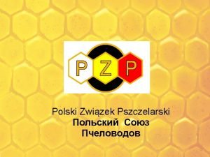 Polski związek pszczelarski poznań