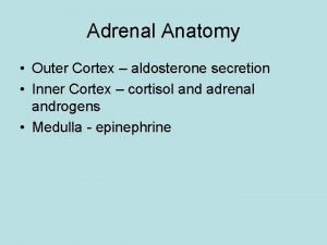 Adrenal Anatomy Outer Cortex aldosterone secretion Inner Cortex
