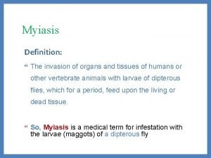 Myiasis Definition The invasion of organs and tissues