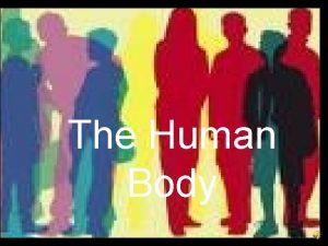 What is the basic unit of the human body