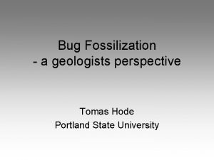 Bug Fossilization a geologists perspective Tomas Hode Portland