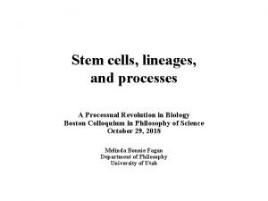 Stem cells lineages and processes A Processual Revolution