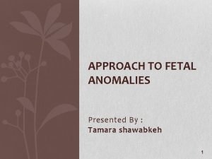 APPROACH TO FETAL ANOMALIES Presented By Tamara shawabkeh