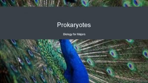 Prokaryotes Biology for Majors Introduction to Prokaryotes Two